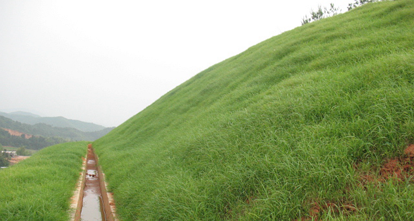 江西·鹰潭至瑞金高速公路建设项目绿化景观工程