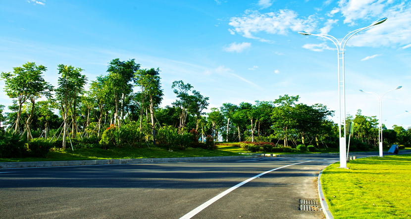 珠海·城市绿化景观提升工程
