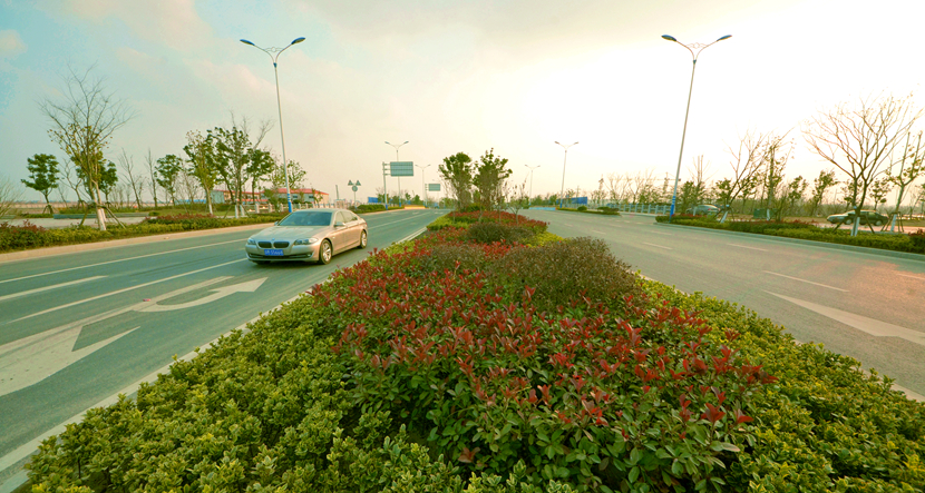 江苏·南通通州区南山湖等景观绿化工程