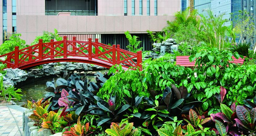 深圳·迈瑞总部大厦花园