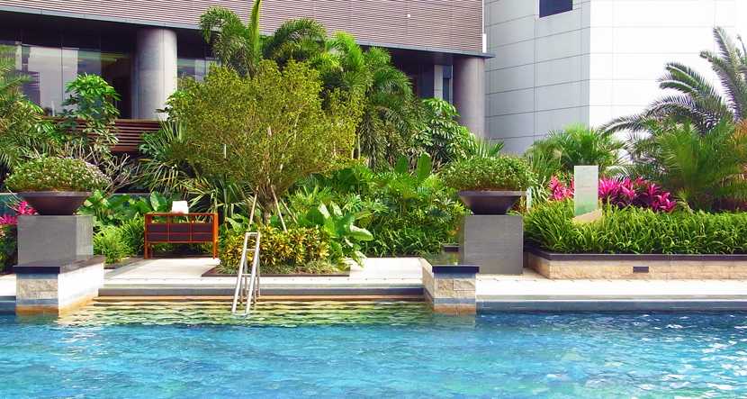 深圳·星河发展中心景观工程