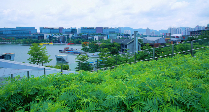 深圳·欢乐海岸